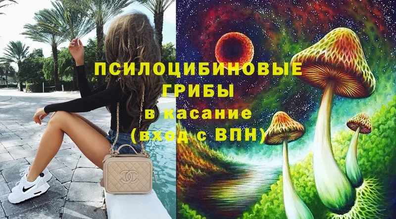 Псилоцибиновые грибы Magic Shrooms  blacksprut ссылки  Хабаровск 